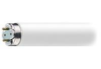 Лампа 40W/Т8/BL/G13 (Китай)